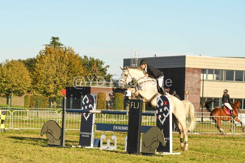 20241006-dsc_6917-standard.jpg