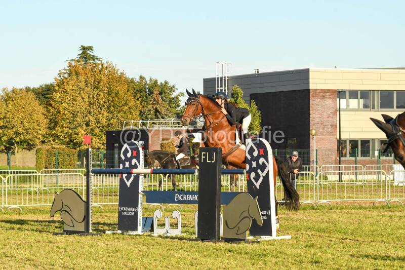 20241006-dsc_6933-standard.jpg