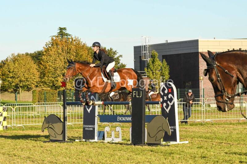 20241006-dsc_6935-standard.jpg
