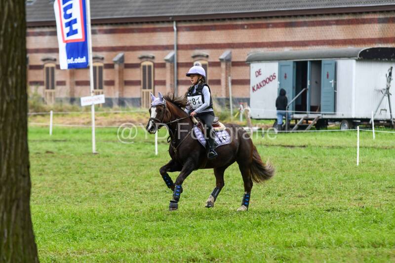20241012-dsc_0108-standard.jpg