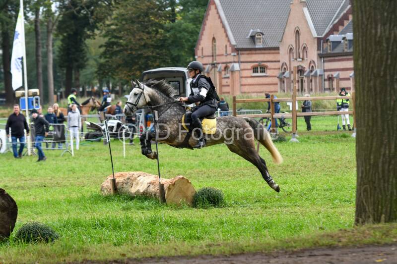 20241012-dsc_0286-standard.jpg