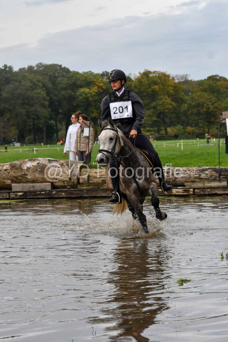 20241012-dsc_0322-standard.jpg