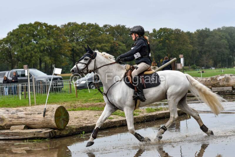 20241012-dsc_0437-standard.jpg
