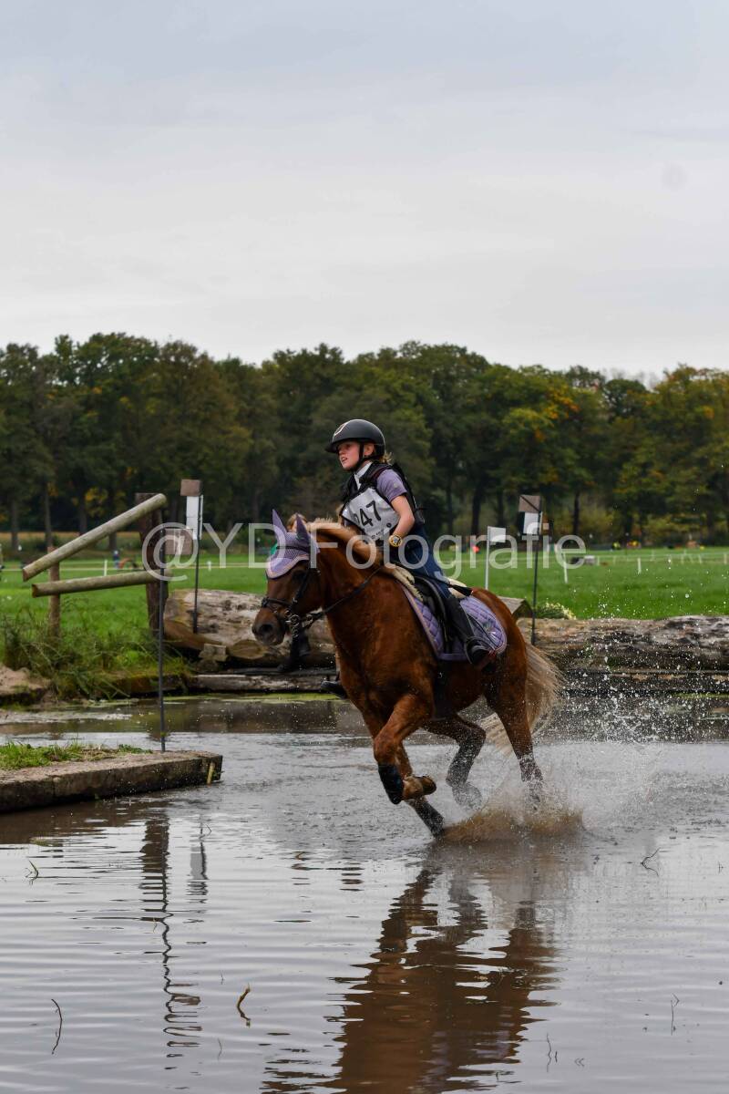 20241012-dsc_0758-standard.jpg
