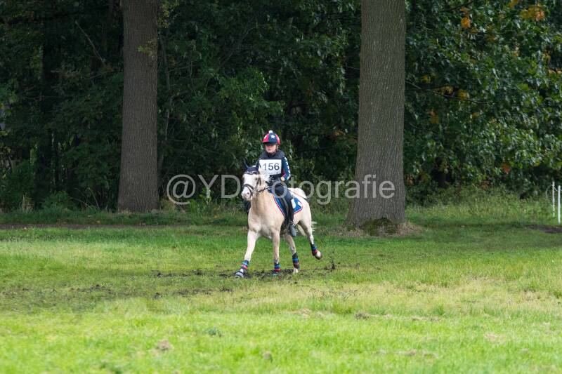 20241012-dsc_7282-standard.jpg