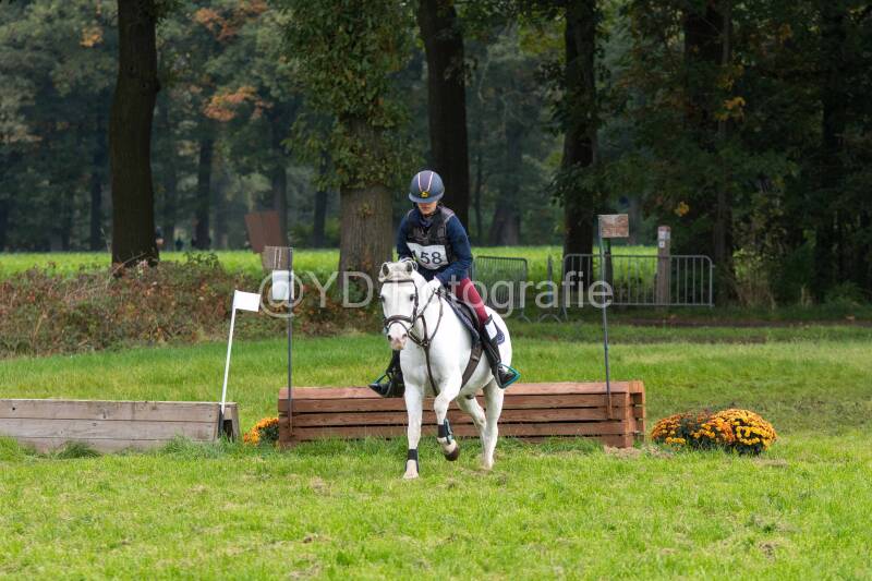 20241012-dsc_7303-standard.jpg