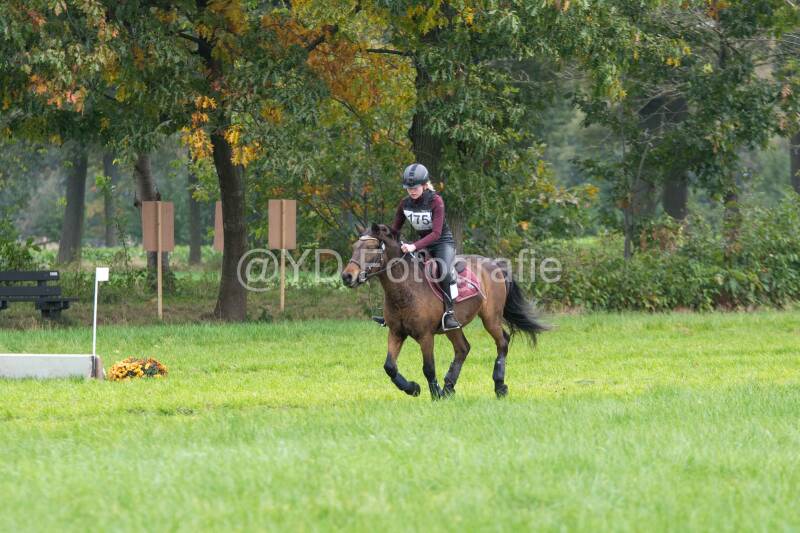 20241012-dsc_7374-standard.jpg