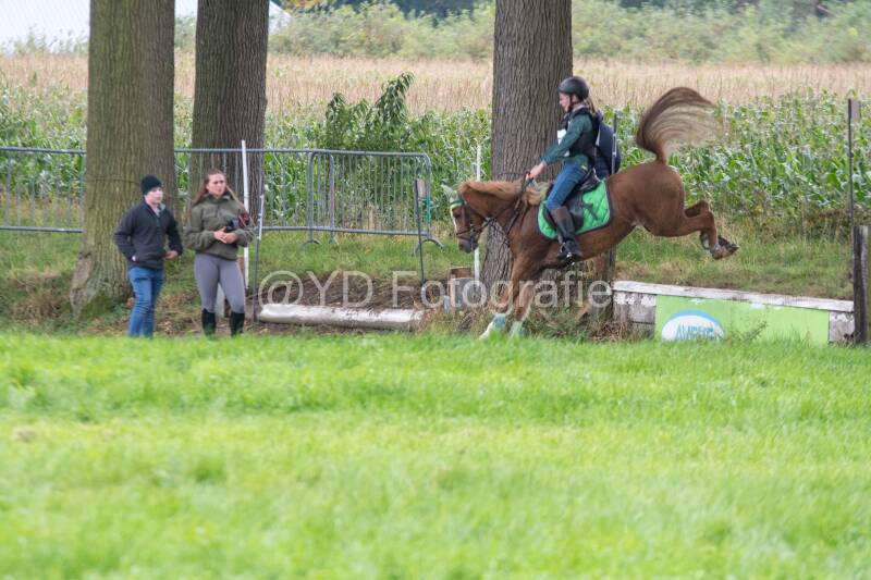 20241012-dsc_7405-standard.jpg