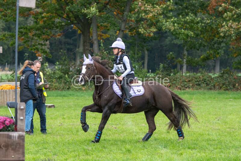 20241012-dsc_7412-standard.jpg