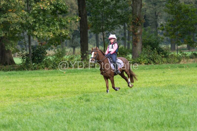 20241012-dsc_7430-standard.jpg