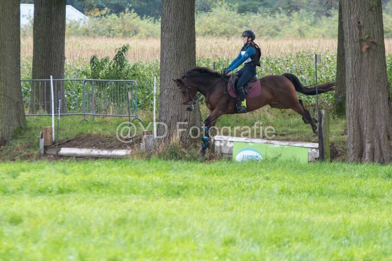 20241012-dsc_7485-standard.jpg