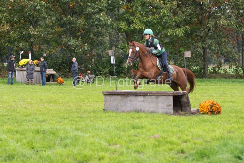20241012-dsc_7513-standard.jpg
