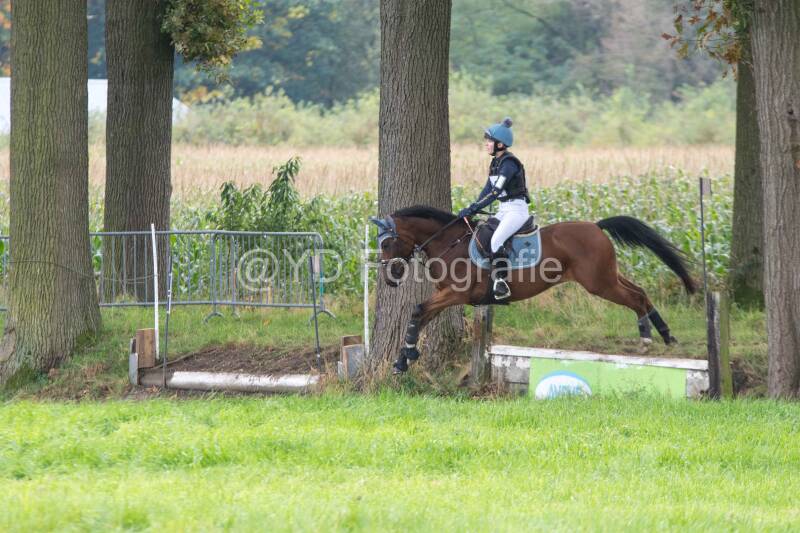 20241012-dsc_7532-standard.jpg