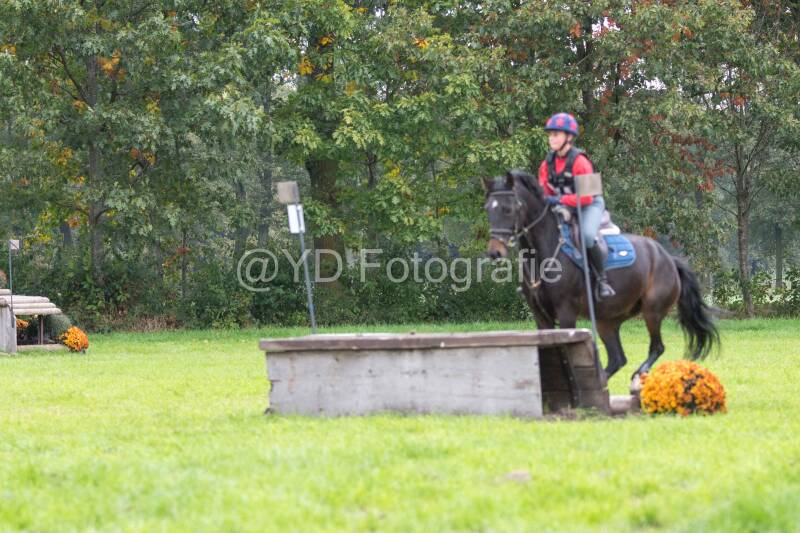 20241012-dsc_7747-standard.jpg