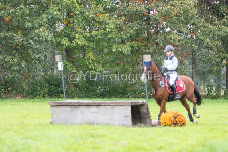20241012-dsc_7755-standard.jpg