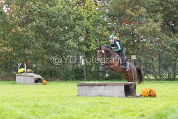 20241012-dsc_7811-standard.jpg