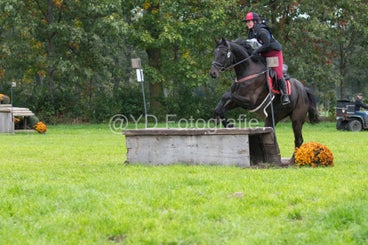 20241012-dsc_7826-standard.jpg