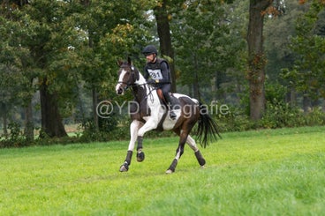 20241012-dsc_7913-standard.jpg