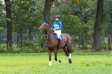 20241012-dsc_7960-standard.jpg