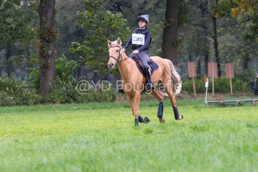 20241012-dsc_7969-standard.jpg
