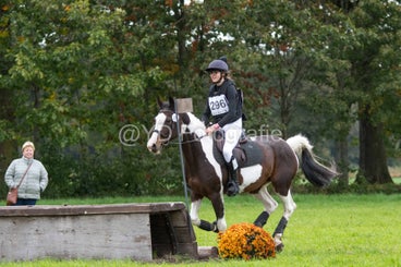 20241012-dsc_7974-standard.jpg