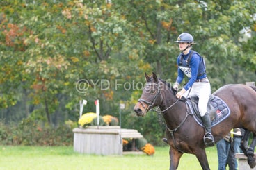 20241012-dsc_7982-standard.jpg