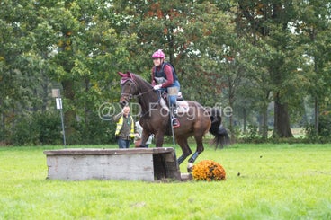 20241012-dsc_8001-standard.jpg