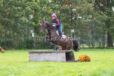 20241012-dsc_8002-standard.jpg