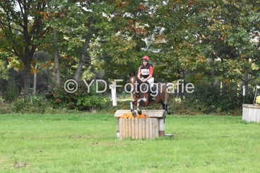 20241013-dsc_0975-standard.jpg