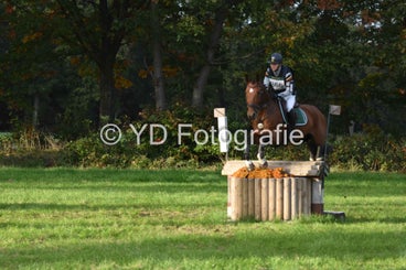 20241013-dsc_1006-standard.jpg