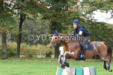 20241013-dsc_1036-standard.jpg