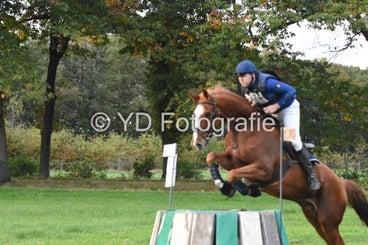 20241013-dsc_1102-standard.jpg