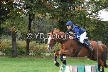 20241013-dsc_1103-standard.jpg