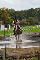 20241013-dsc_3411-standard-gifqxq.jpg