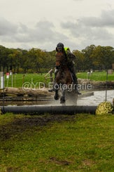 20241013-dsc_3469-standard-f0aosy.jpg