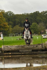 20241013-dsc_3486-standard-j8q1ba.jpg