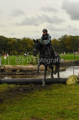 20241013-dsc_3521-standard-qll0tx.jpg