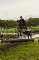20241013-dsc_3658-standard-2fezzf.jpg