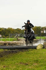 20241013-dsc_3767-standard-yi9ge6.jpg