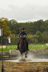 20241013-dsc_3781-standard-0ft28a.jpg