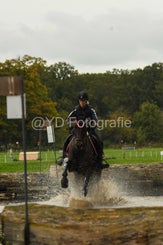 20241013-dsc_3783-standard-5j1nve.jpg