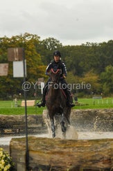 20241013-dsc_3785-standard-mvd4qm.jpg