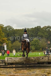 20241013-dsc_3840-standard-txi5cu.jpg