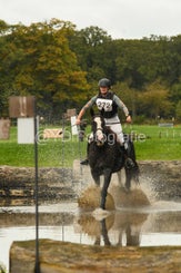 20241013-dsc_3904-standard-t6e6wx.jpg