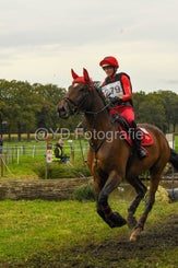 20241013-dsc_4003-standard-r8wayl.jpg