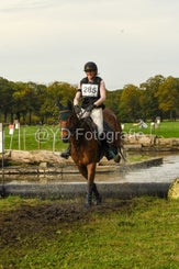 20241013-dsc_4081-standard-p9zn60.jpg