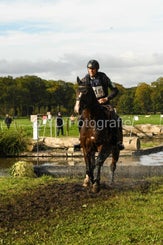 20241013-dsc_4472-standard.jpg