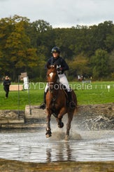 20241013-dsc_4522-standard.jpg