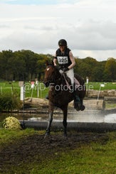 20241013-dsc_4604-standard.jpg