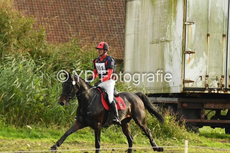 20241013-dsc_5107-standard.jpg